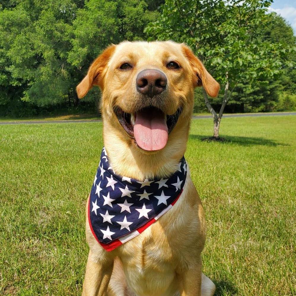 Gus, 2021 4th of July