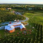 Angry Orchard Cider House