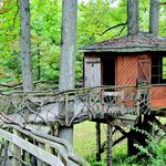 Tyler Arboretum