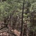 Caves on the Glades hiking trail