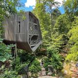 Garvan Woodland Gardens