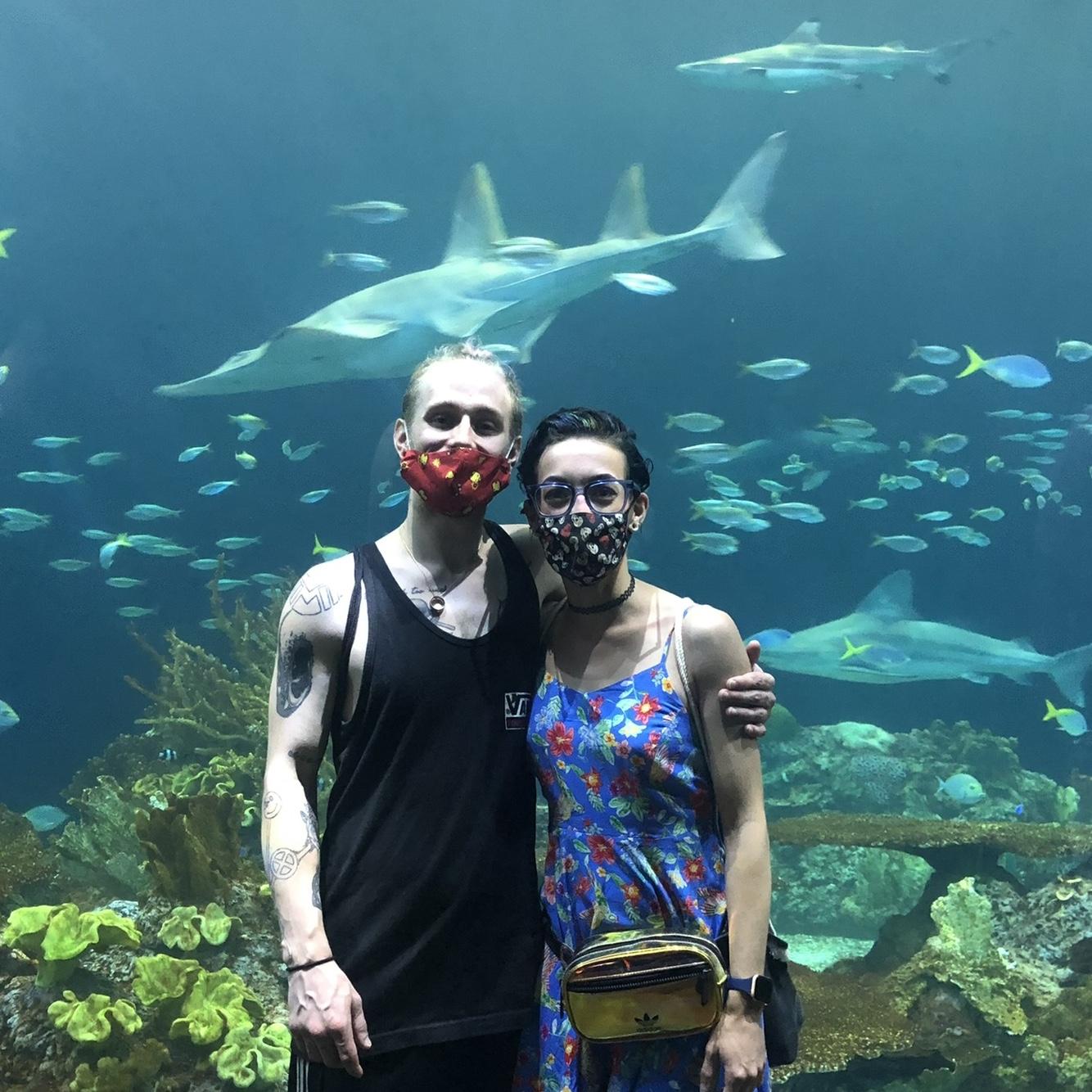 Chicago aquarium
