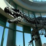 North Carolina Museum of Natural Sciences