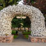 Snap a picture under the antler arches at Jackson Town Square