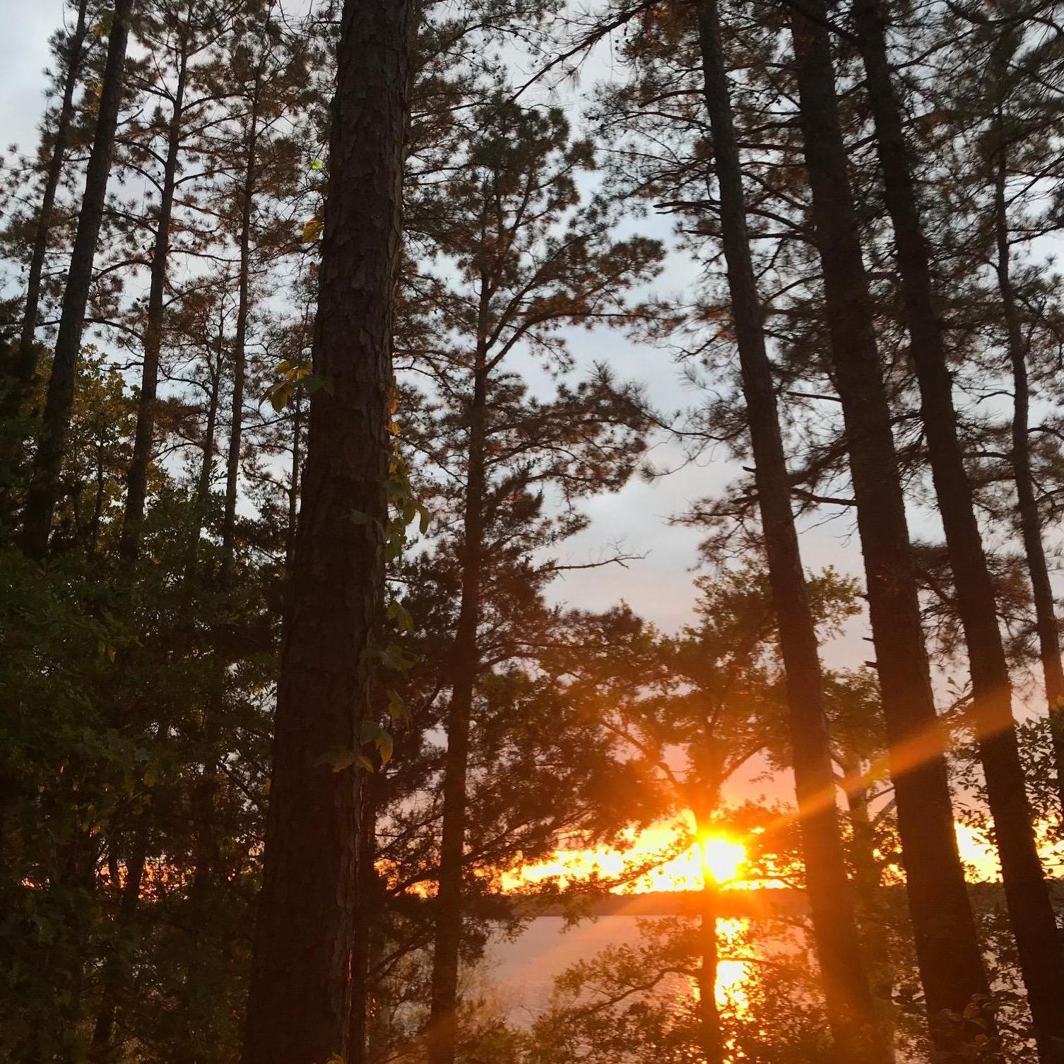 I snapped these pictures of the sunset, moments before he proposed!