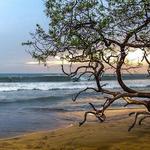 Playa Avellana