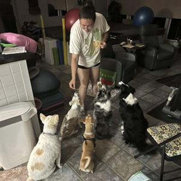 Our Dog Sanctuary Fund