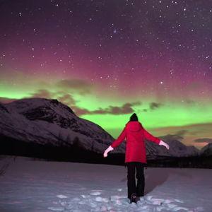 Honeymoon Excursion - Northern Lights Private Tour