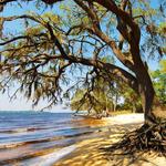 Goose Creek State Park