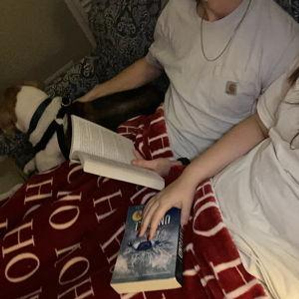 Book Collection
