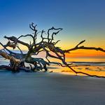 Golden Isles