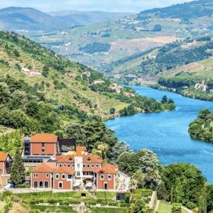 Wine Tasting in Douro Valley
