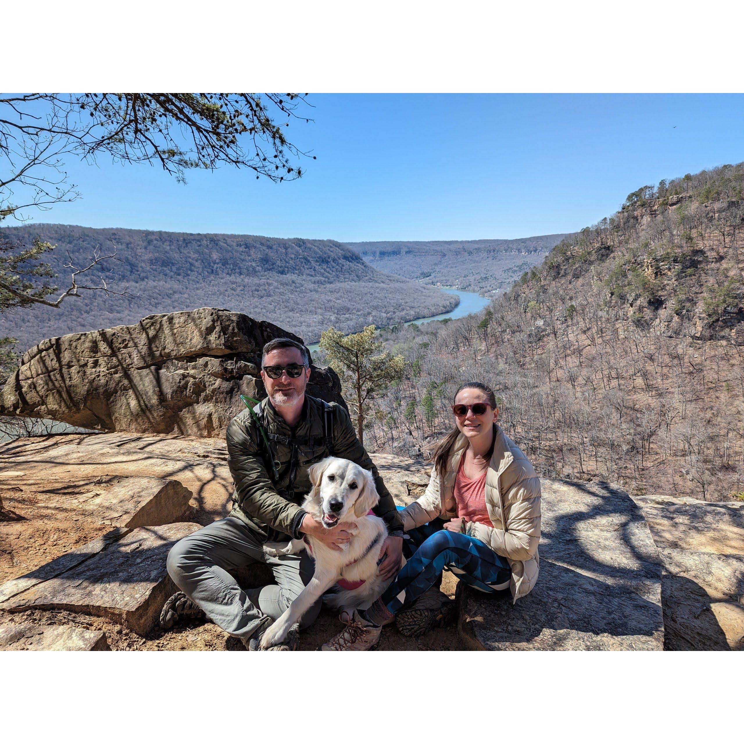 View of the Tennessee River, via the Cumberland Trail (Signal Mountain, TN)