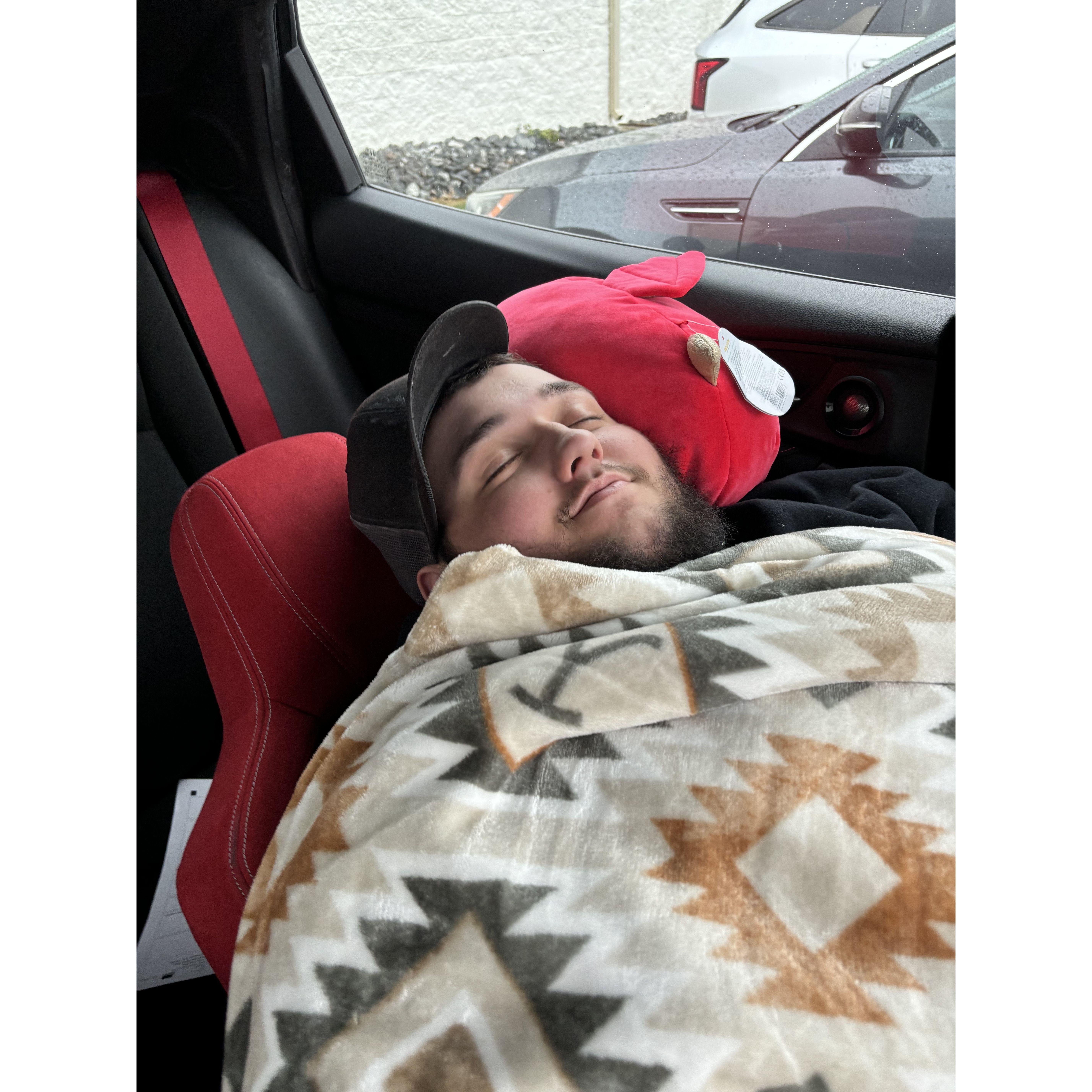 napping outside in the car, waiting to pick me up from work