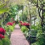 Key West Tropical Forest & Botanical Garden