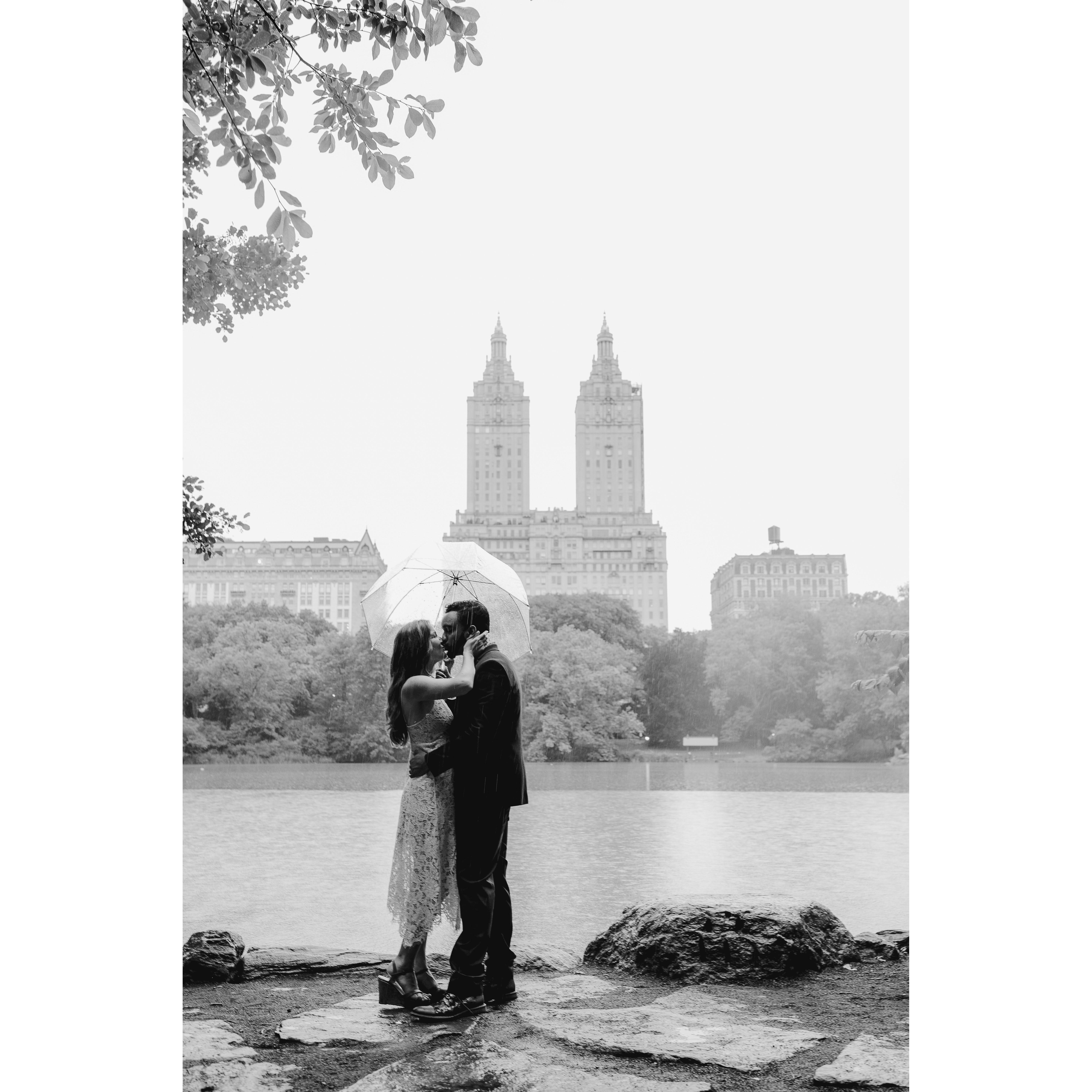 Central Park, NYC, June 2022