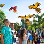 ZooTampa at Lowry Park