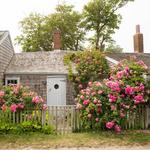 Siasconset