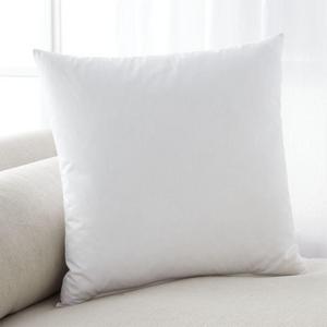Feather-Down 20" Pillow Insert