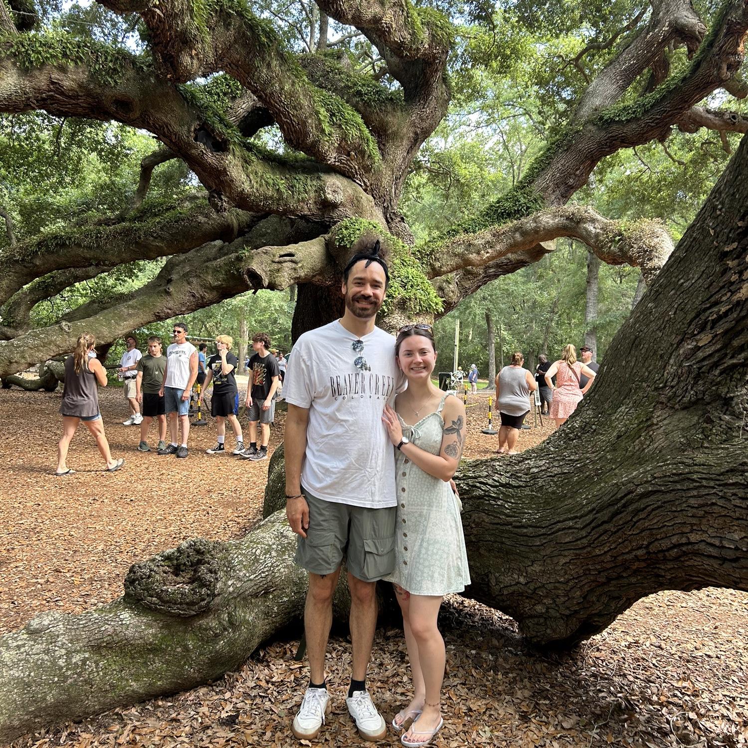 6/18/2025
Angle Oak Tree