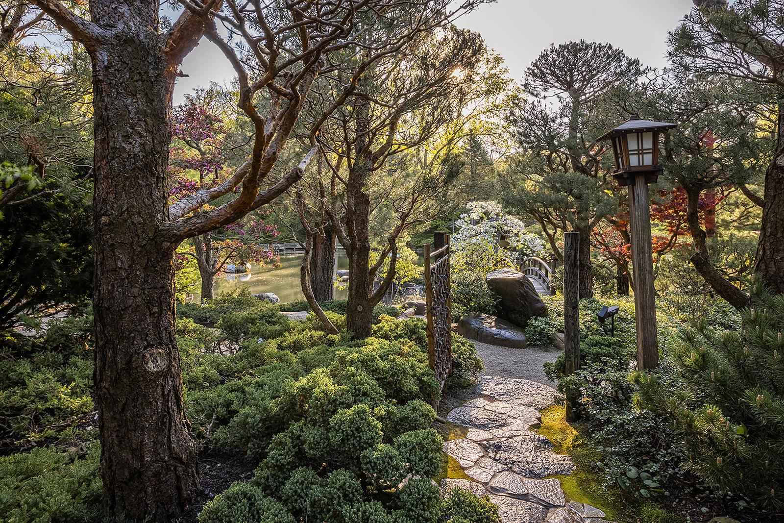 The Wedding Website of Emily Aron and Benjamin Sopkin