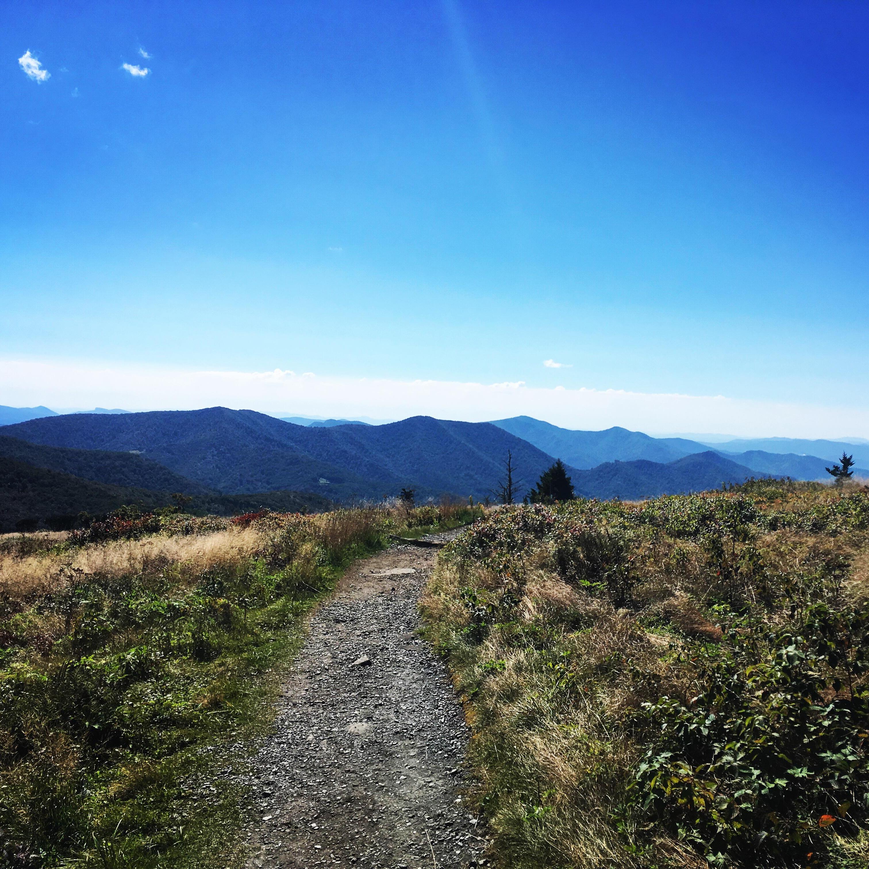 On one of our favorite hikes in North Carolina.
