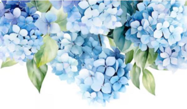 The Wedding Website of Kiley Hubbard and Richard Cardwell
