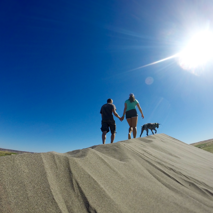Bruneau Sand Dunes, 2016