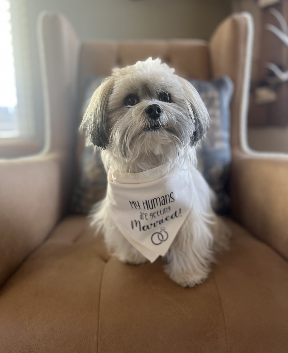 The Wedding Website of Ashley Bailey and Wilson Johnson