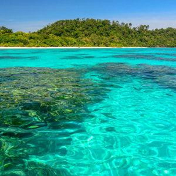 Snorkeling For Two