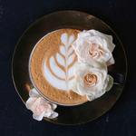 Crucible Coffee Roasters