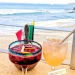 Cabo Surf Hotel & Spa