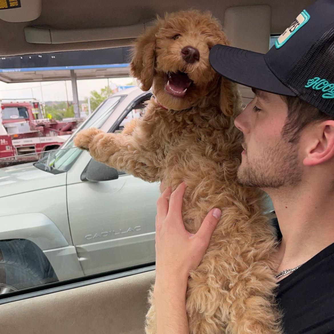 The day we met our dog Remy!