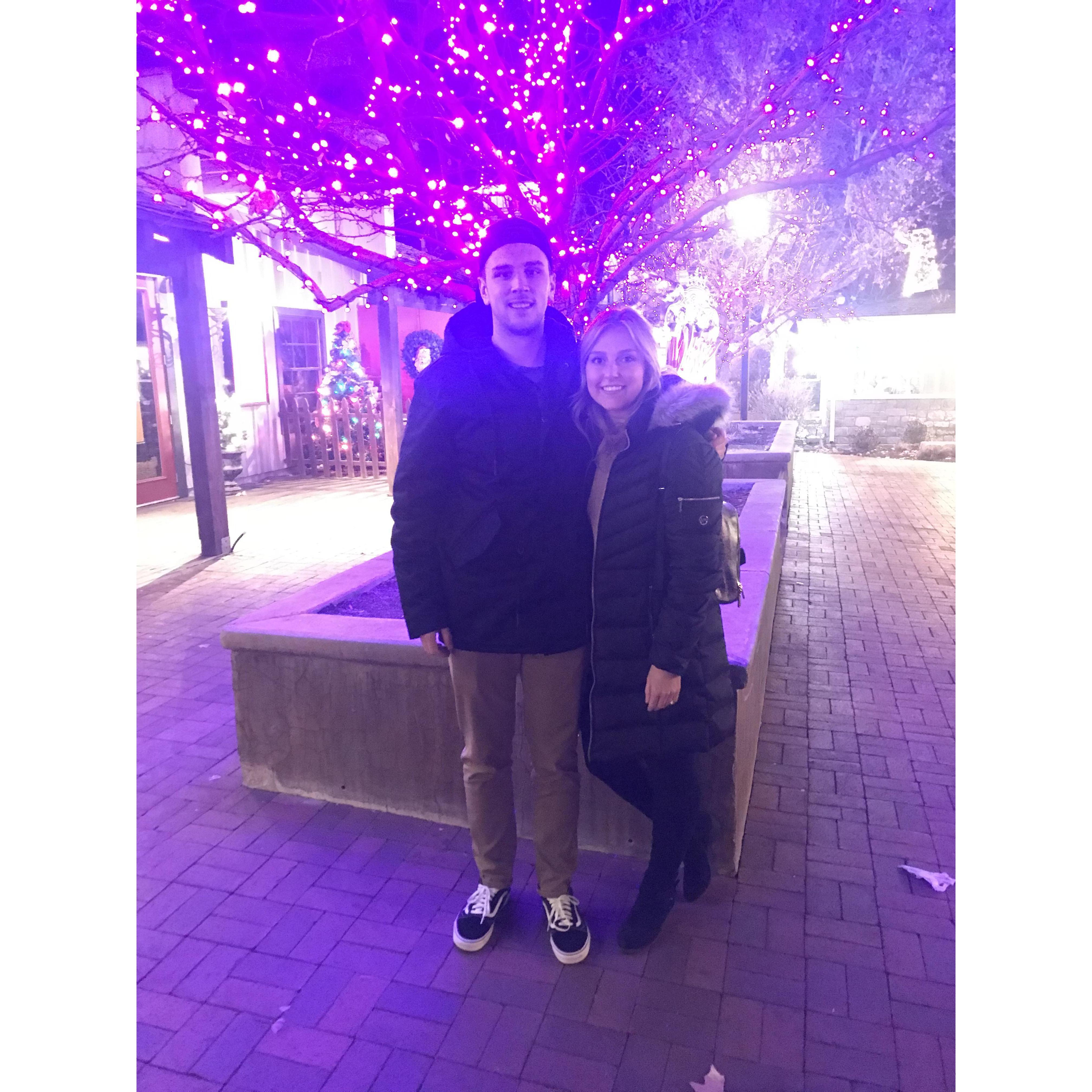 Garner village to end the year. 2018