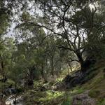 Mount Remarkable National Park