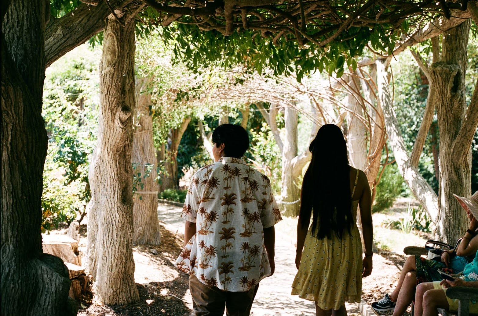 41e15fcc-023f-4ed6-9bdc-53f46f5cf422