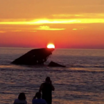 Cape May Sunset Beach