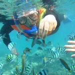Snorkel express
