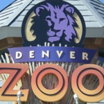 Denver Zoo