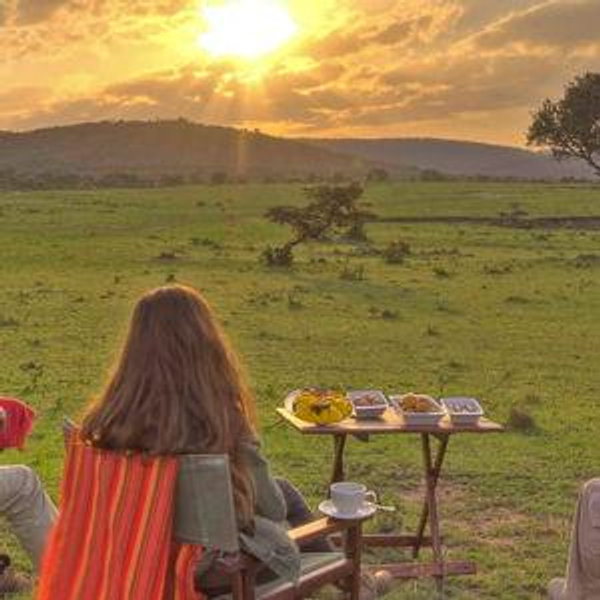 Safari Picnic for Two