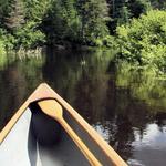Jessup River Wild Forest