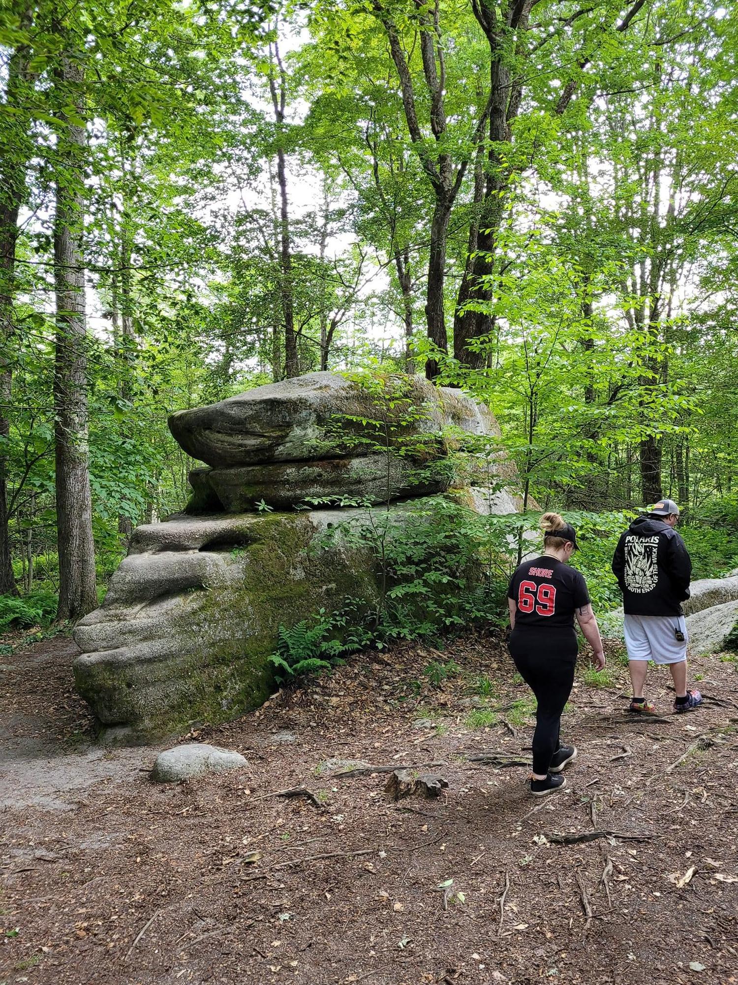 Thunder Rocks - Allegany State Park