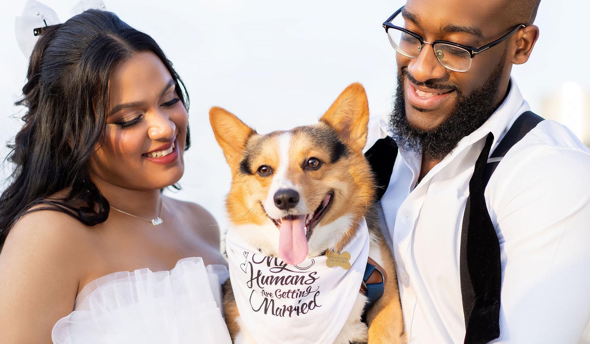 The Wedding Website of Brittany Sandoval and Denzyl Amankwah