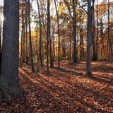 Seven Oaks Preserve Trail