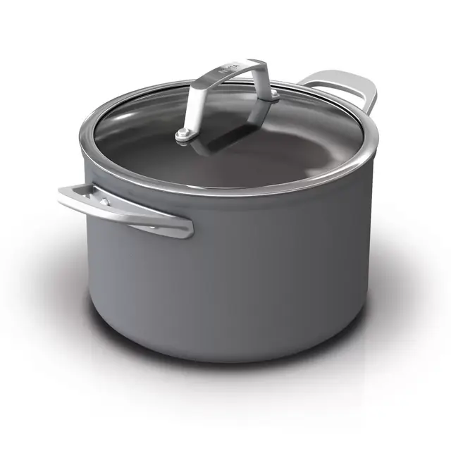 Ninja™ Foodi™ NeverStick™ Premium Hard-Anodized 6.5 qt. Covered Stock Pot