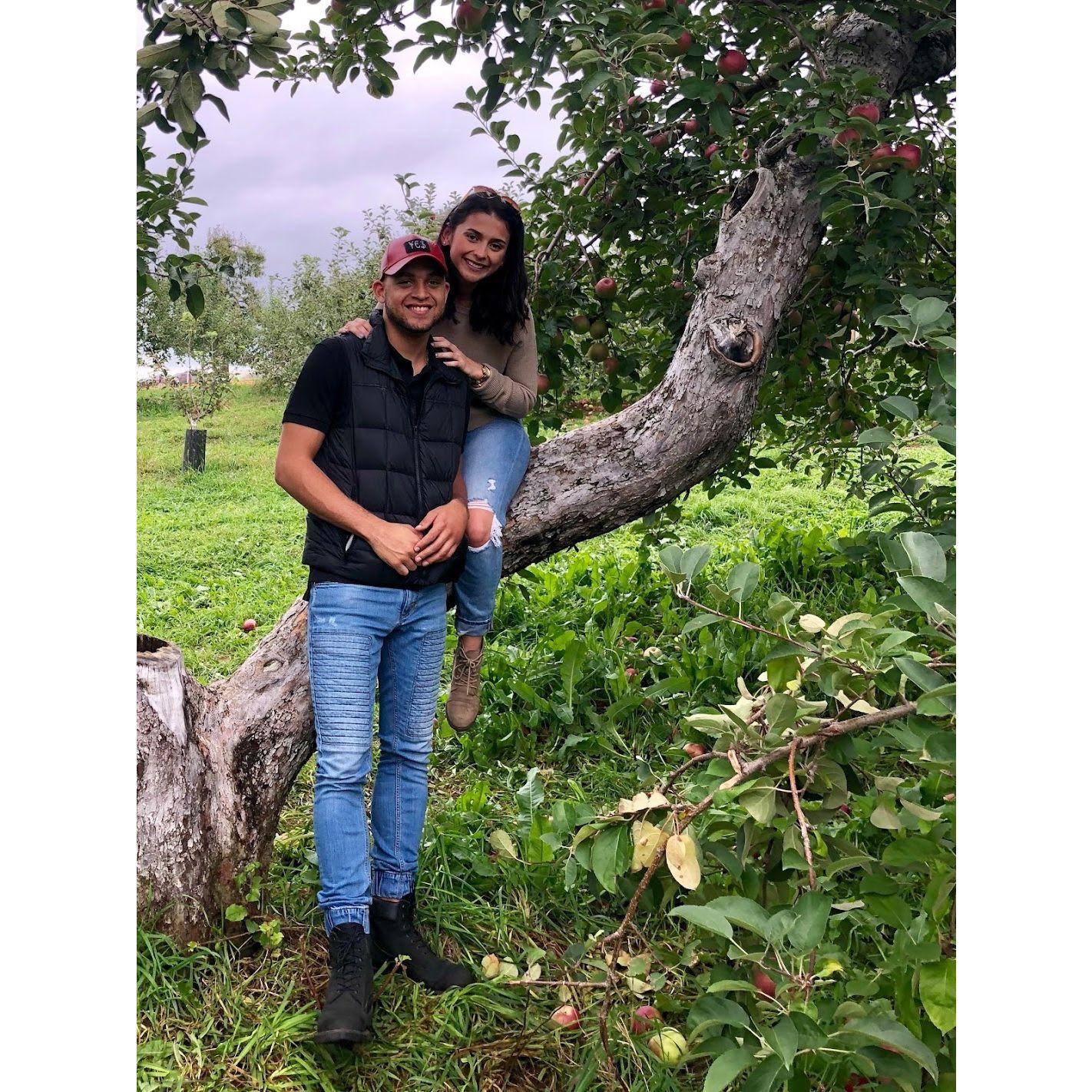 Vincent's 1st time apple picking ... he was "in disbelief" when he found out he had to pay to pick his own apples