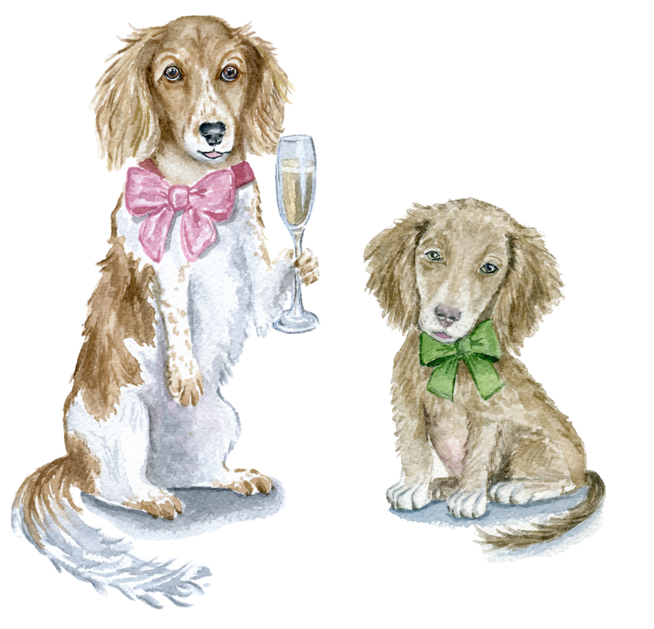 The Wedding Website of Virginia Kate Gammon and Cody Daniel Peranich