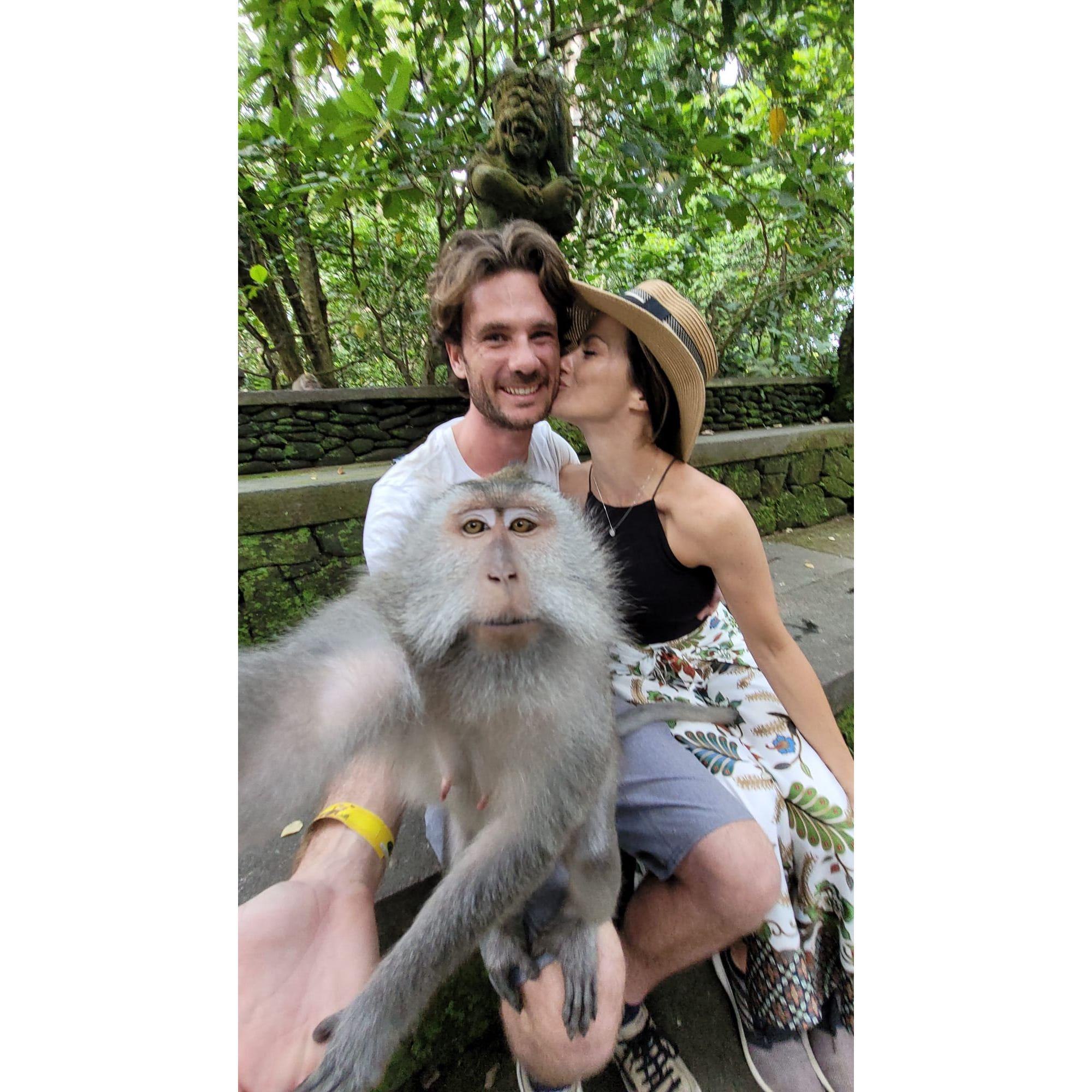 Bali's Monkey Forest