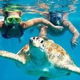 Sea Safaris & Wildlife Tours