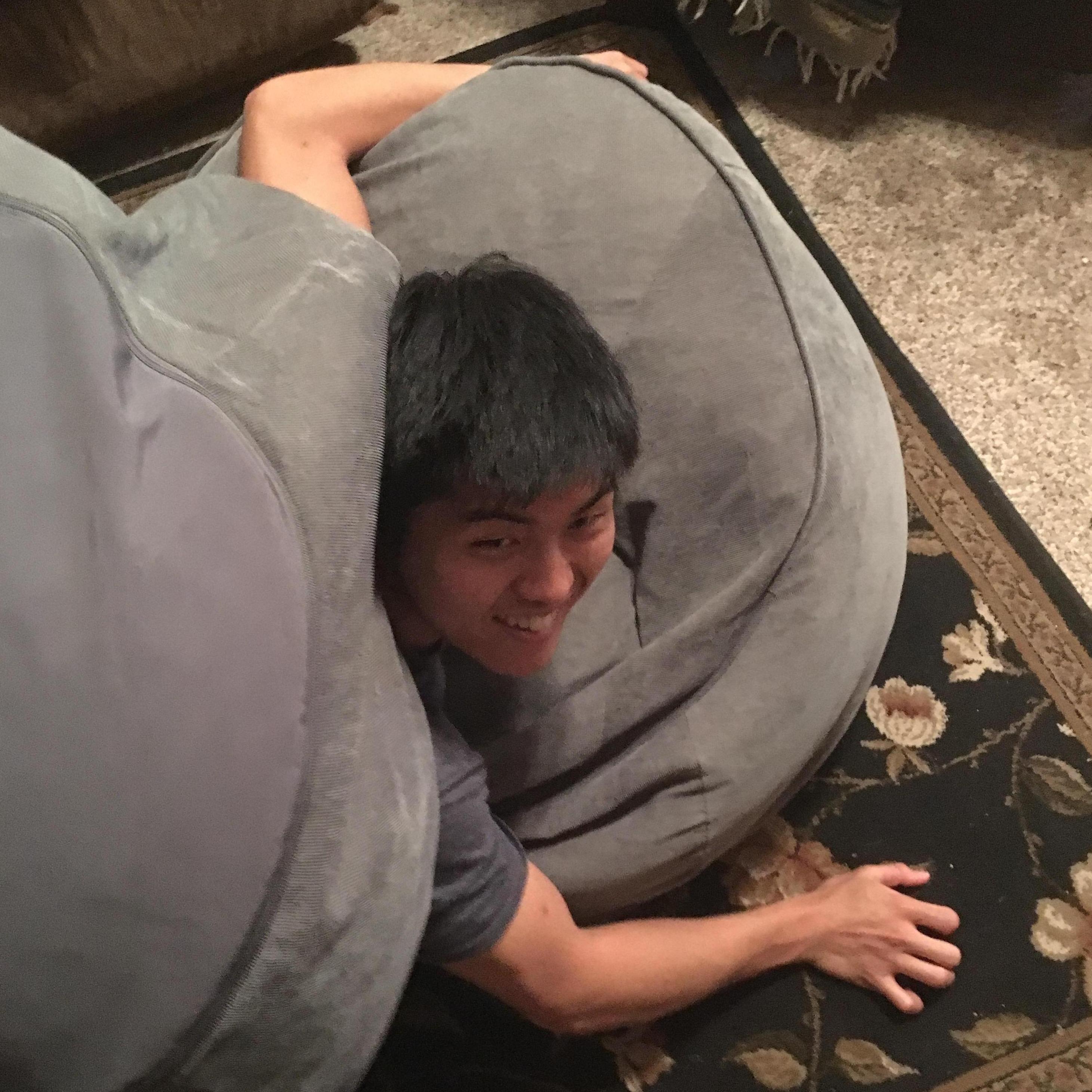 Elizabeth threw a fluff bomb at me. She thinks I look like a turtle. Looks more like a gecko to me. (5/27/2018, Lynn's house, TN)